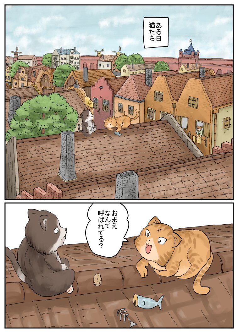 ・オランダ共和国、その8。猫さん達。「続く 