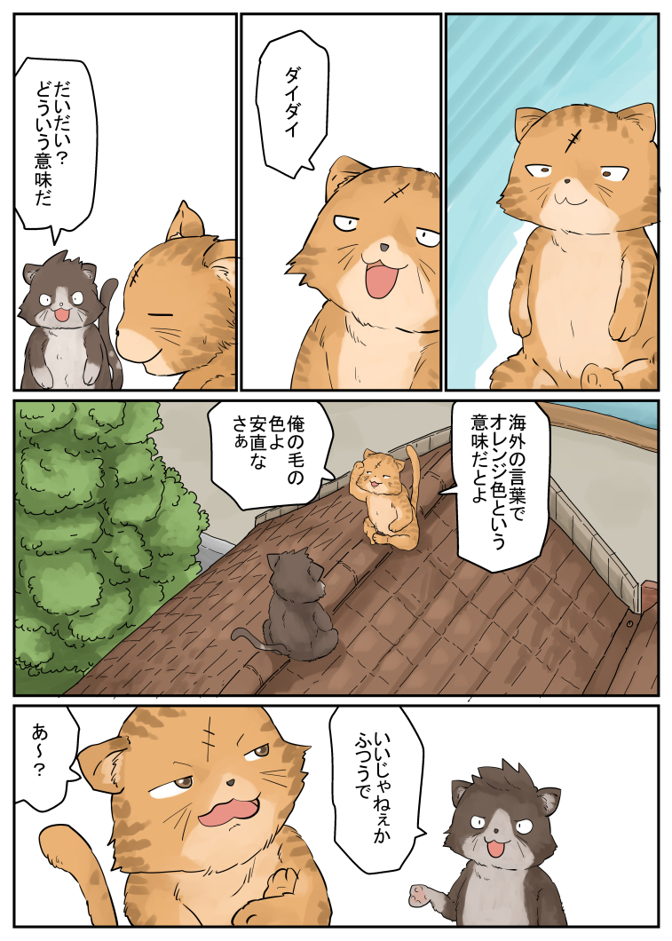 ・オランダ共和国、その8。猫さん達。「続く 