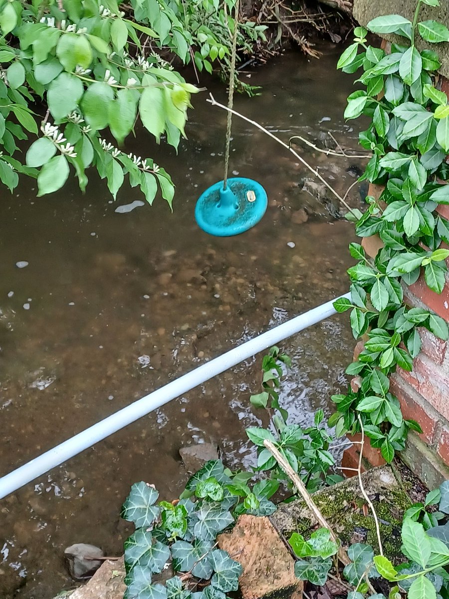 LinetteGraham68's tweet photo. Water level today. https://t.co/BT7x8TNMzD