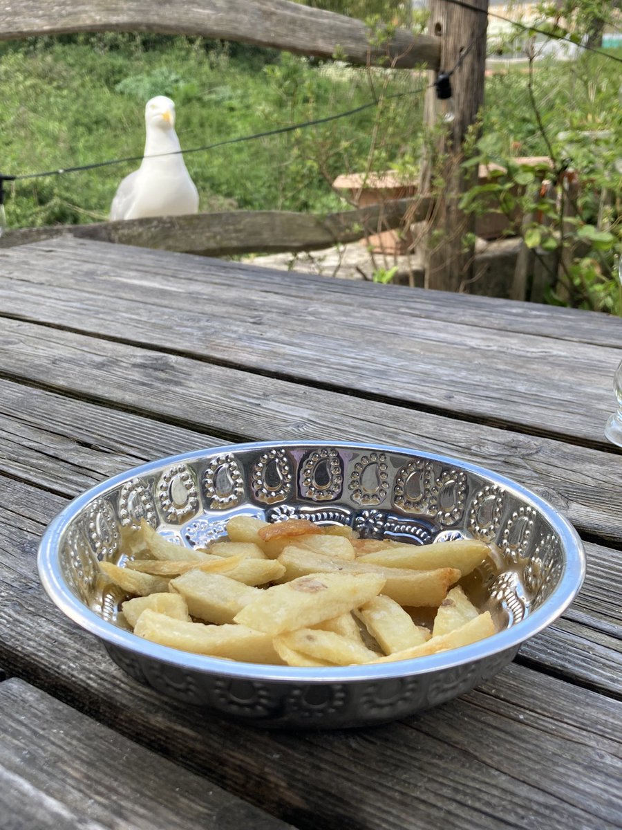 MoffStarbuck's tweet photo. He’s not giving up #chips #redbrickcafe #bridport https://t.co/jnq955zwdq