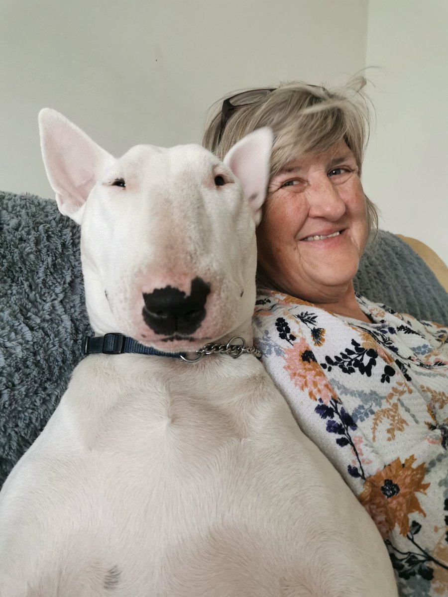 PaulMos02436367's tweet image. Morning folks 😊