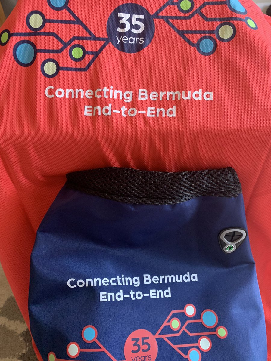 Dr Lucie Fremlova 🍉 🌻 tweet media