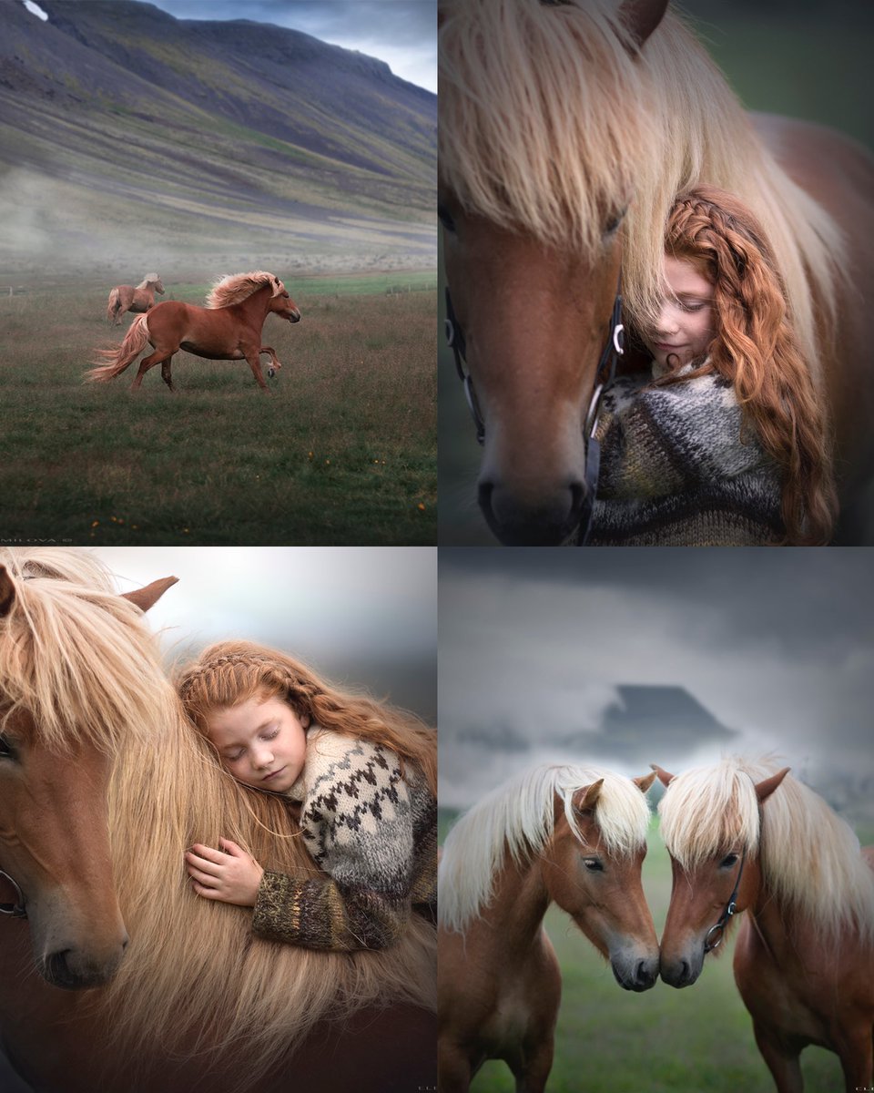 Elena Shumilova tweet media