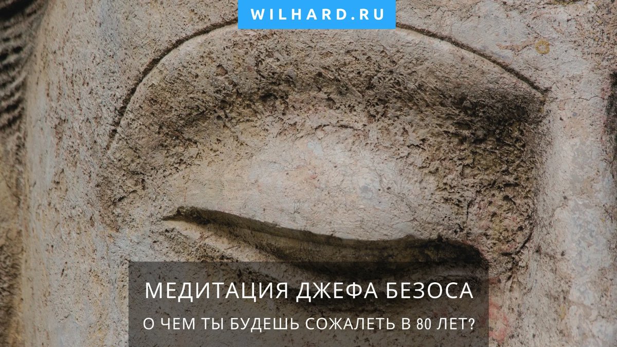 Wilhard.ru | онлайн-бизнес и инвестиции tweet media