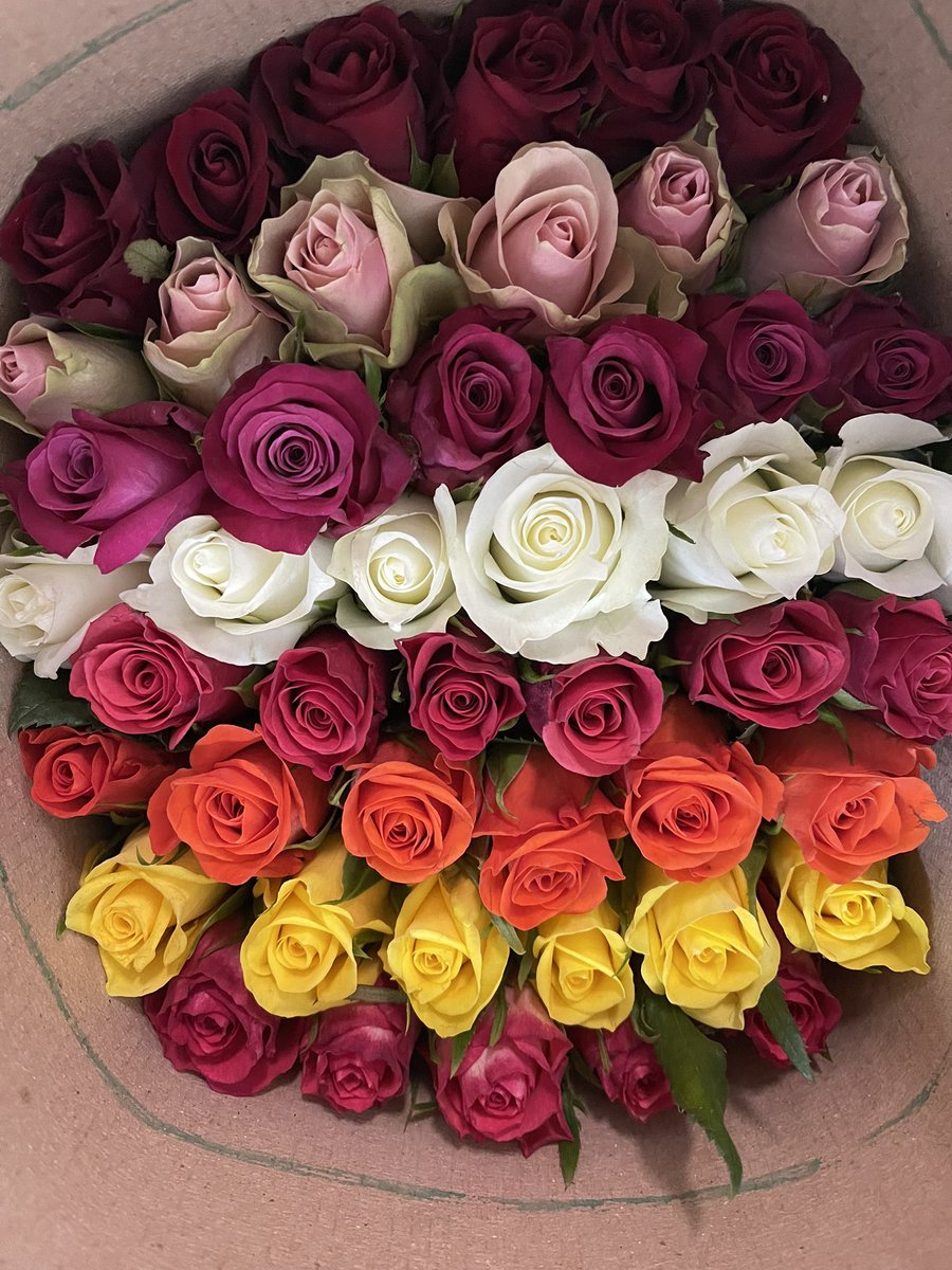 BellaFlowersRw's tweet photo. What Color of roses best describes your feelings about your mom? 
#MothersDay2022 https://t.co/24ySbmL3jk
