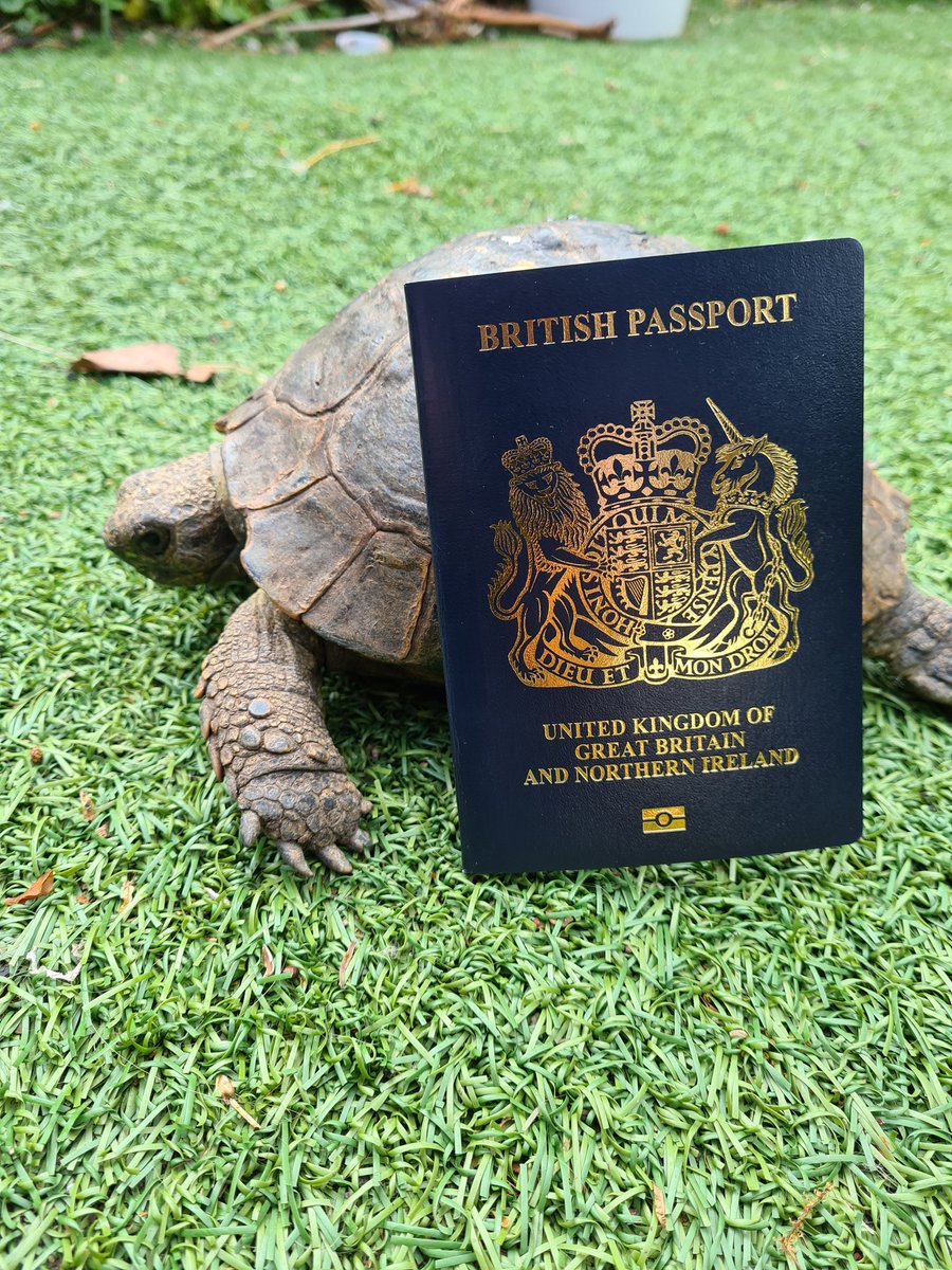 Gillan Squire tweet media