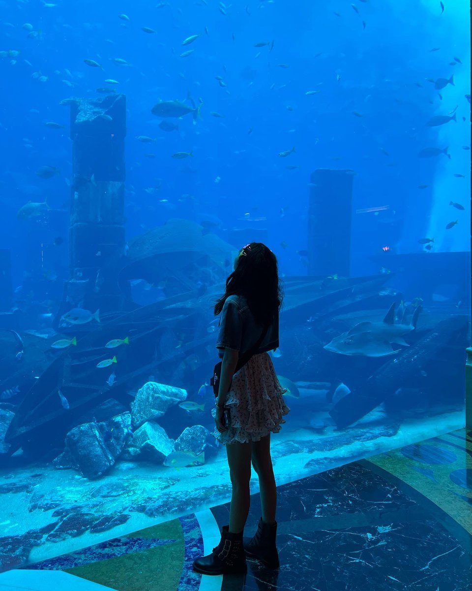 krungy21's tweet photo. #DaraInDubai 🐙🐠🐡🐟🐬🐳🐋 https://t.co/pJMDggXkL3