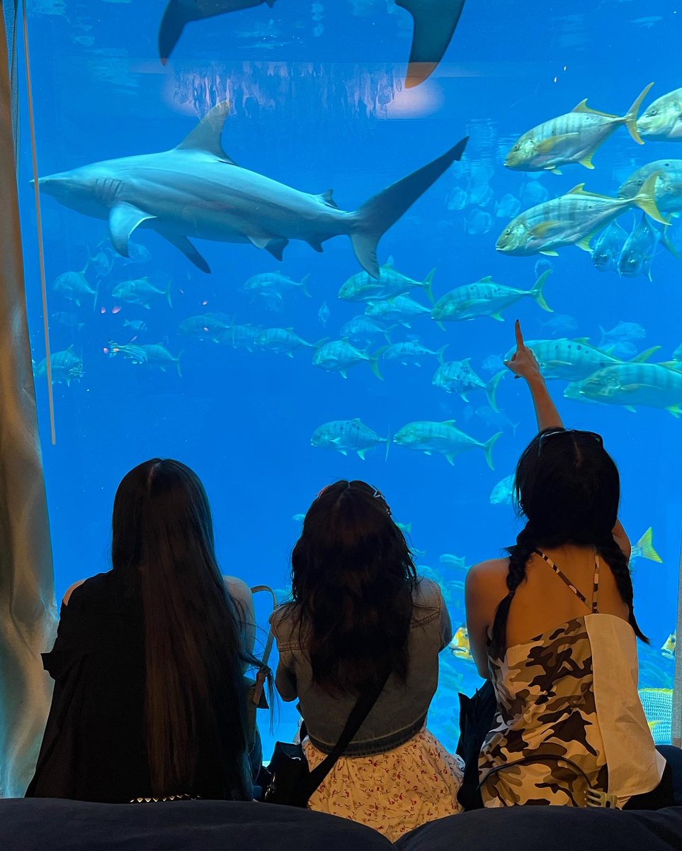 krungy21's tweet photo. #DaraInDubai 🐙🐠🐡🐟🐬🐳🐋 https://t.co/pJMDggXkL3