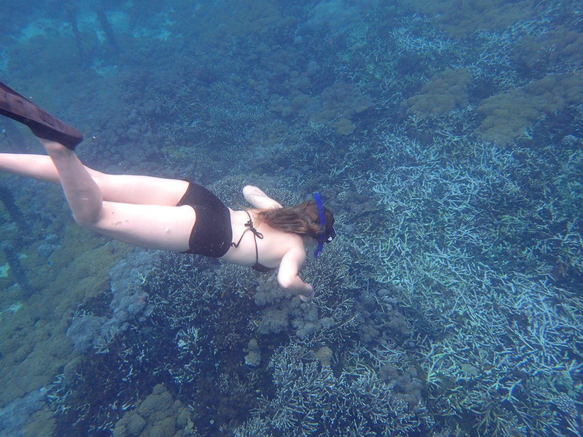 EnaKetut's tweet photo. Let's come and dive with us https://t.co/6W1NxlC3Kb #scubadiving #scuba #snorkeling https://t.co/1CMiOQlY7H