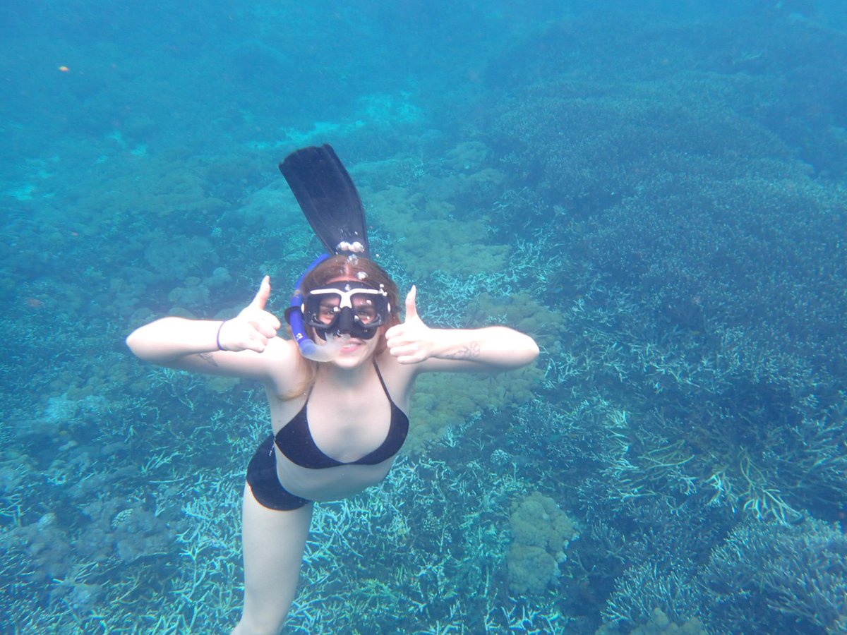 EnaKetut's tweet photo. Let's come and dive with us https://t.co/6W1NxlC3Kb #scubadiving #scuba #snorkeling https://t.co/1CMiOQlY7H