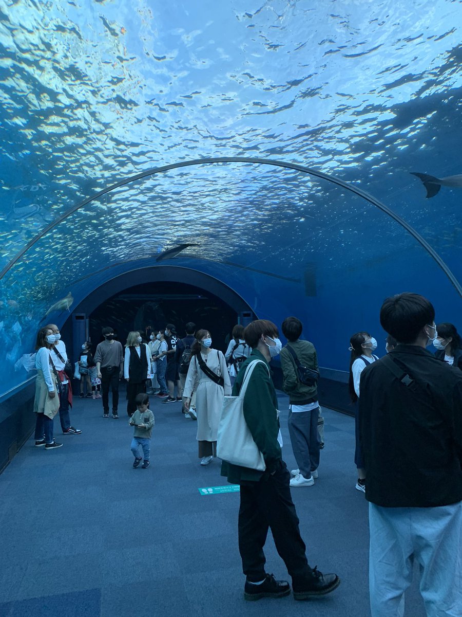 DFS_Mumu's tweet photo. 堪能してますー https://t.co/hK3viXtvrB