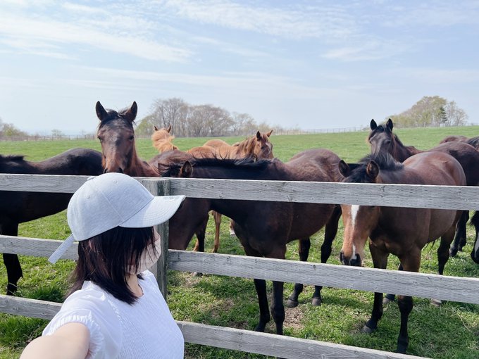 今日は、お馬さんのもっこりが見たくて競走馬にも会ってきました🐴❤️ https://t.co/dhSBHnLrG3<a href="/tag/%E7%86%9F%E5%A5%B3"class="tags"><span>#熟女</span></a><a href="/tag/%E4%B8%8B%E7%9D%80"class="tags"><span>#下着</span></a>