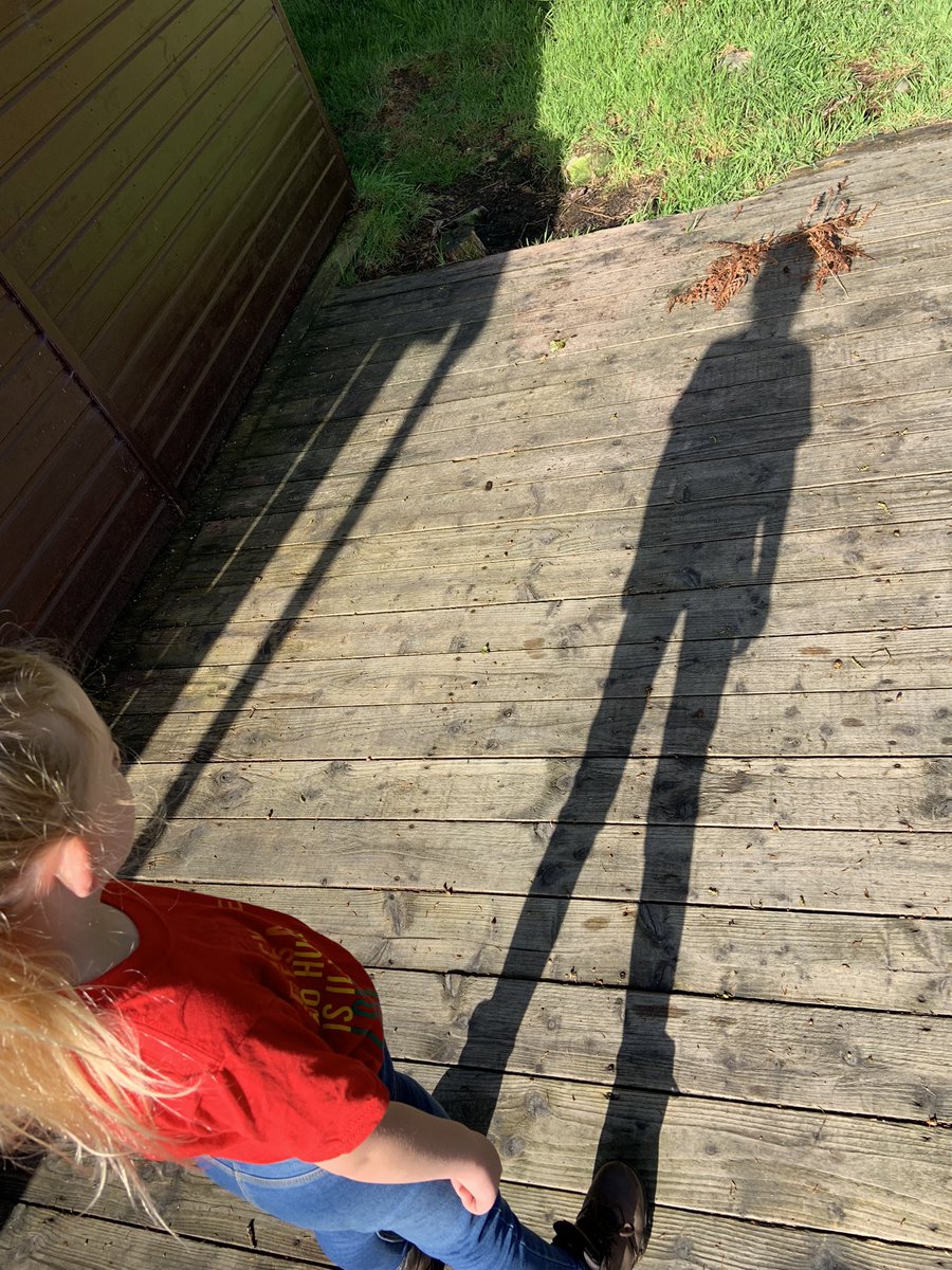 EdadventuresM's tweet photo. @cosydirect #CosyHi morning. We have just been making some shadow nature pictures, I wonder if anyone else will make some today? https://t.co/JNNXBDXf0o