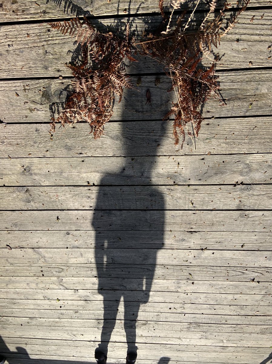 EdadventuresM's tweet photo. @cosydirect #CosyHi morning. We have just been making some shadow nature pictures, I wonder if anyone else will make some today? https://t.co/JNNXBDXf0o