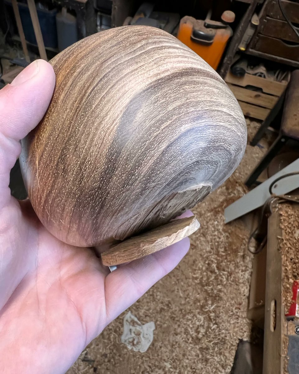sstevenscanes's tweet photo. I keep spotting this pic in my photos and I’m bummed that the bowl ended up so much smaller and this lovely grain around the bottom of the bowl is now not so prominent, but worth saving 😮‍💨

#woodwork #woodworking #maker #makersgonnamake #walkingsticks #walkingstickmaker https://t.co/KIie7mFS3s
