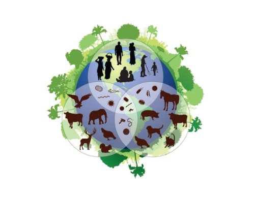 ACN_Veterinario's tweet photo. Los veterinari@s somos sanitari@s... ¡Y muchas más cosas!

Os animamos a participar en #LosVeterinariosSomosSanitariosyMuchoMas ¡Cuéntanos tu trabajo como Veterinari@!

Twittea "#LosVeterinariosSomosSanitariosYMuchoMas Soy Veterinari@, Soy Sanitari@ y..." https://t.co/cxlEOcIWJW