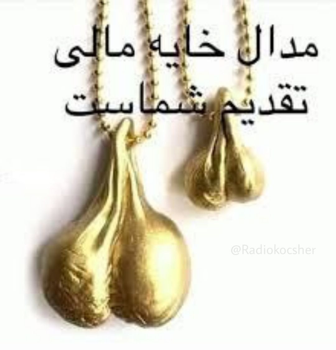 mitonibbinish's tweet photo. @kiyaan_irane @HajjamiMohammad https://t.co/LYB8fonqAQ