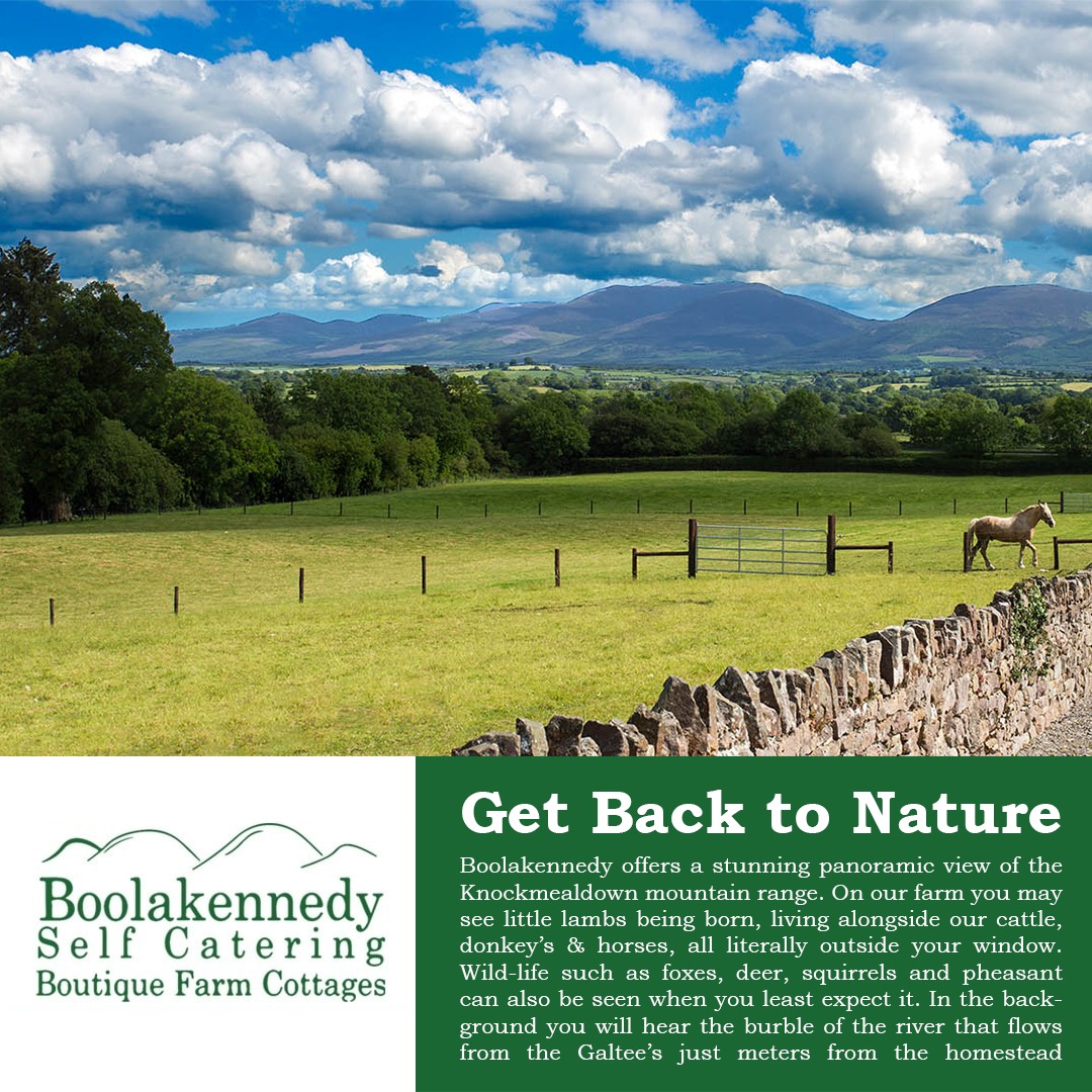 Get back to Nature here at Boolakennedy 🍃 🍂 ☘🍁 

#Tipperary #tipperarytourism #VisitTipperary #munstervales #VisitIreland #Ireland