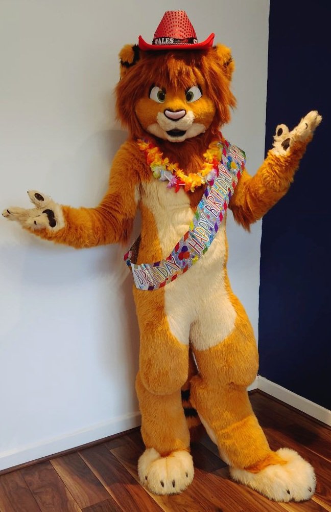 Tamari 🦁 tweet media