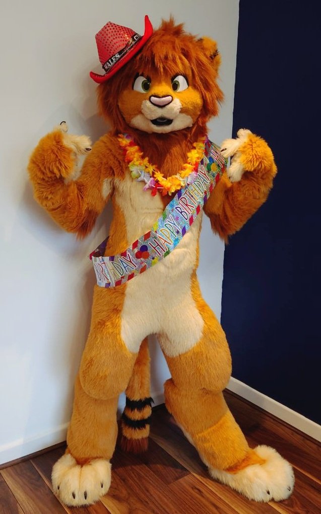 Tamari 🦁 tweet media