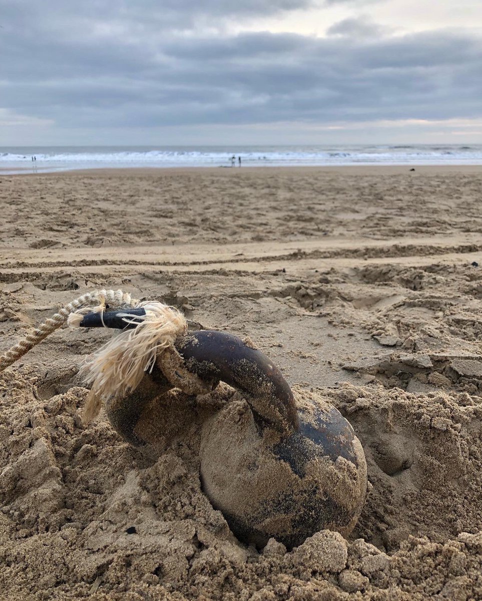 Tynemouth Fit Bodz tweet media