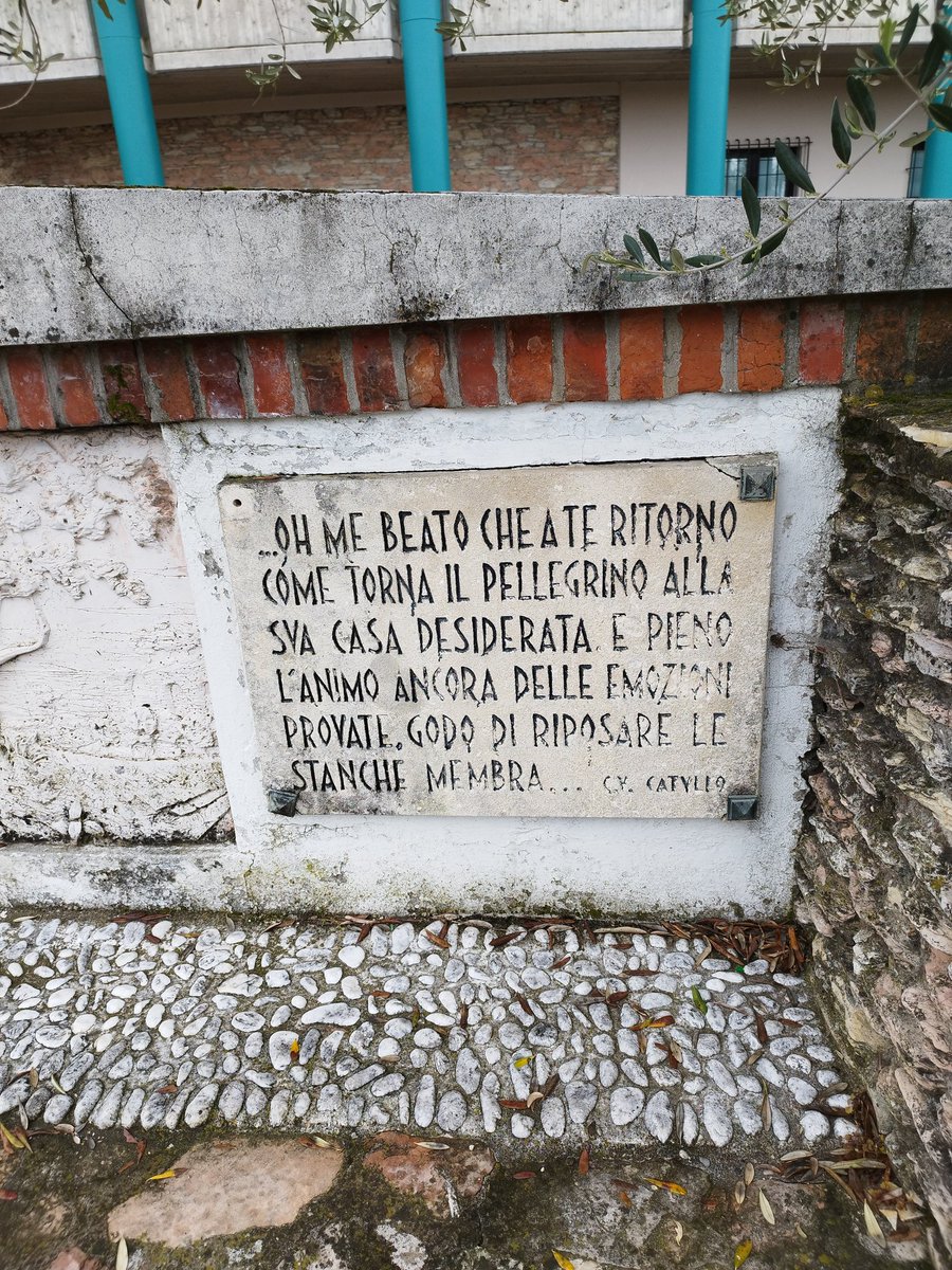 Luca Maria Codari (@lucacodari) on Twitter photo 