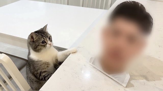 もちまる日記の飼い主は顔バレしてる 仕事についても調査 シュバルツのトレンディ日和