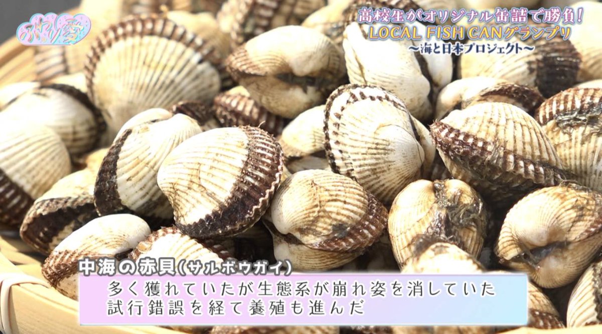 LOCALFISHCAN's tweet photo. 全国9局ネットで放送中の番組『ふわり愛』 にてLOCAL FISH CANグランプリが紹介されました🐟
鳥取県の高校生が考案した「豊かな中海の赤貝缶詰」が生まれた背景や、赤貝めしをMCの中井りかさんに取材いただきました🐚
#lfcg #海と日本プロジェクト #缶詰 https://t.co/waPqxSUkVs