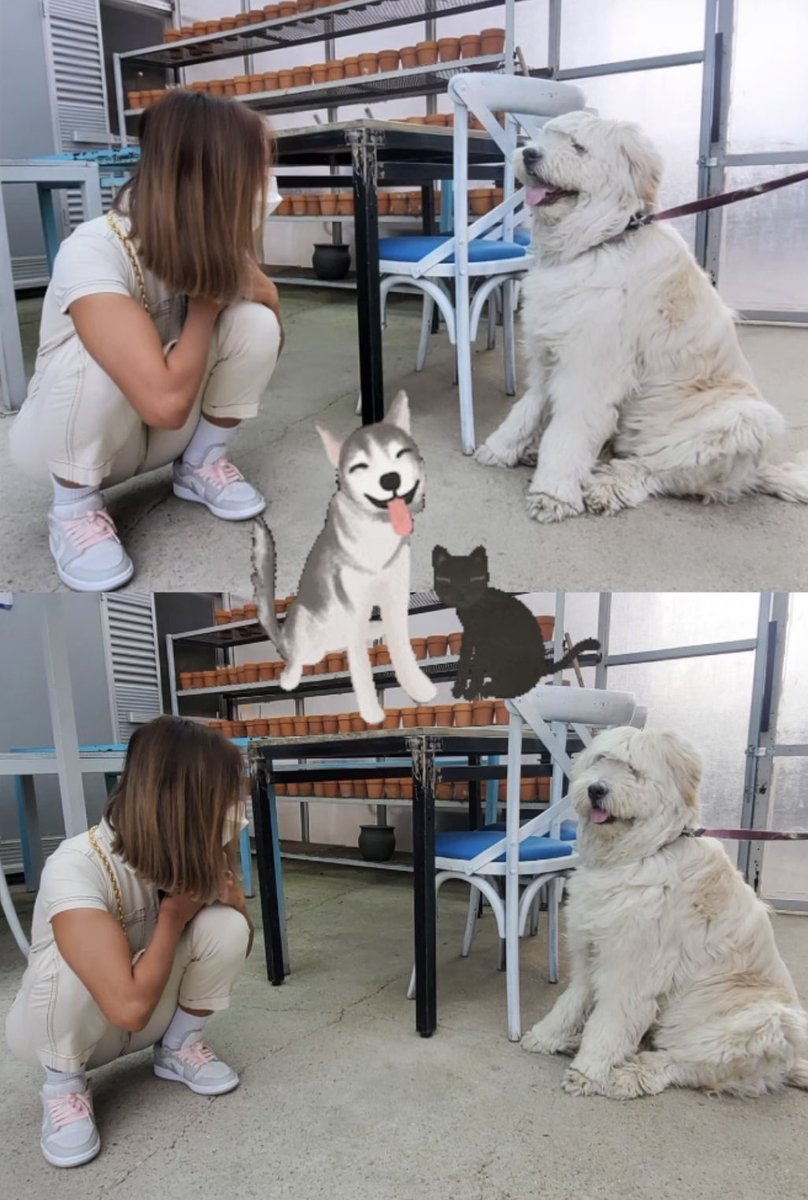 효린 언니 강아지랑 시선 맞추는 거
사람 미쳐버리게 함 ㅠㅠㅠㅠㅠㅠㅠㅠ