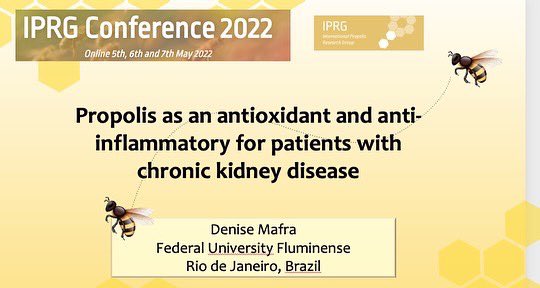 DeniseMafra3's tweet image. Tooooday 👇🏻👇🏻👇🏻 @RenalUff 
@iprg_buzz 🐝🐝🐝