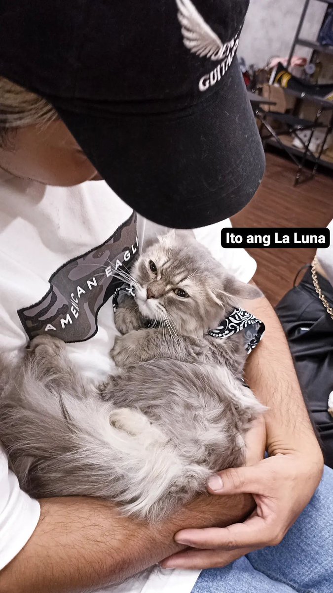 sb19echoes's tweet photo. Soft kitty, warm kitty, little ball of fur. 😻 You just look soft with a cat, Pau. Kahit na lumalaban ang pagkabalbon mo kesa kay Comet. 🤭

IGS comet__thecat

@SB19Official 
#SB19_PABLO @imszmc 
#STANWORLD #SWNewSeason
#SB19 #GrupoMusical #SECAwards https://t.co/36ltbvFFvy