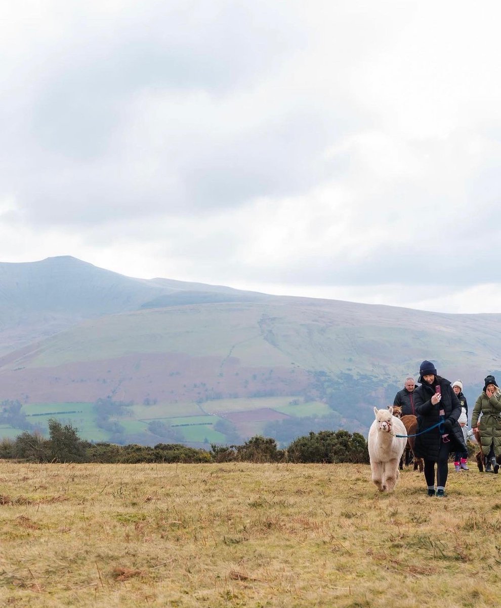 Visit Brecon Beacons Bannau Brycheiniog tweet media