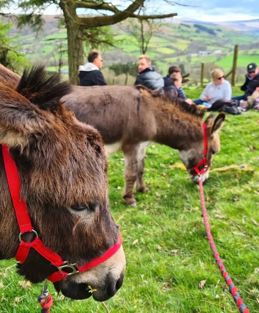 Visit Brecon Beacons Bannau Brycheiniog tweet media