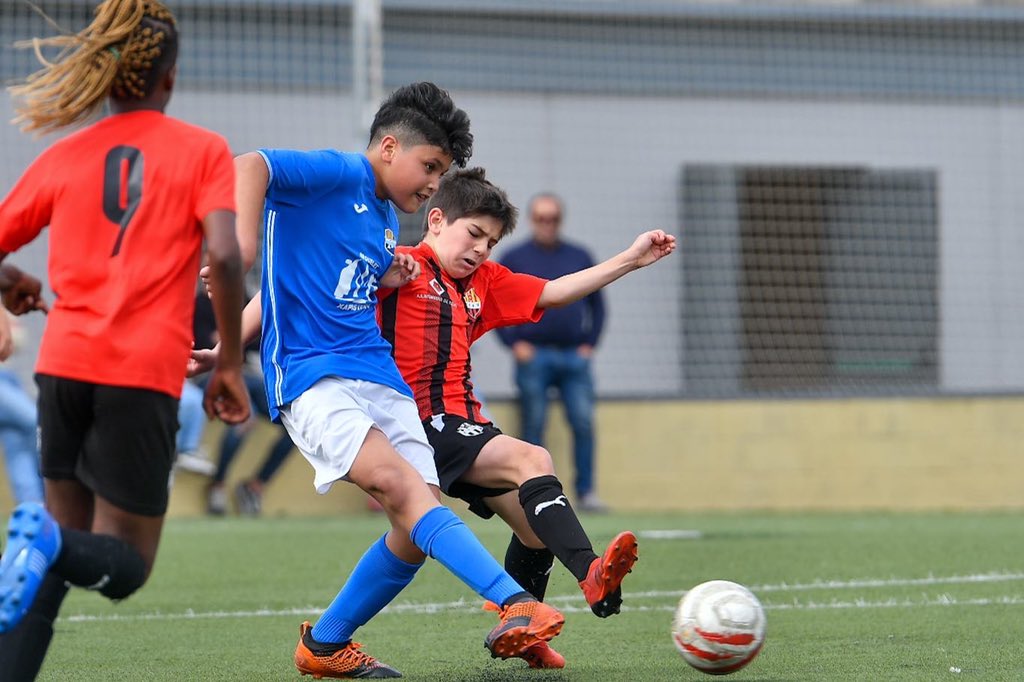 ffutbolbasereus's tweet photo. Victòria del Benjamí A davant la Rapitenca (7-1)

#ffutbolbasereus #forçareus https://t.co/43vDuLQUjU