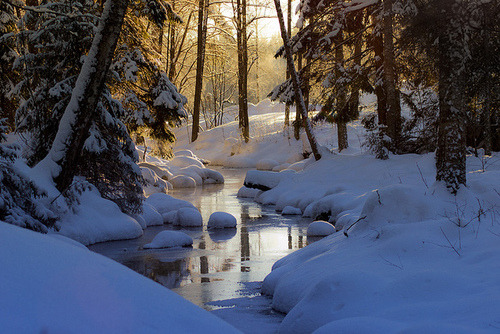balanceinstyle's tweet image. Winter Stream, Finland #WinterStream #Finland carsonreed.com