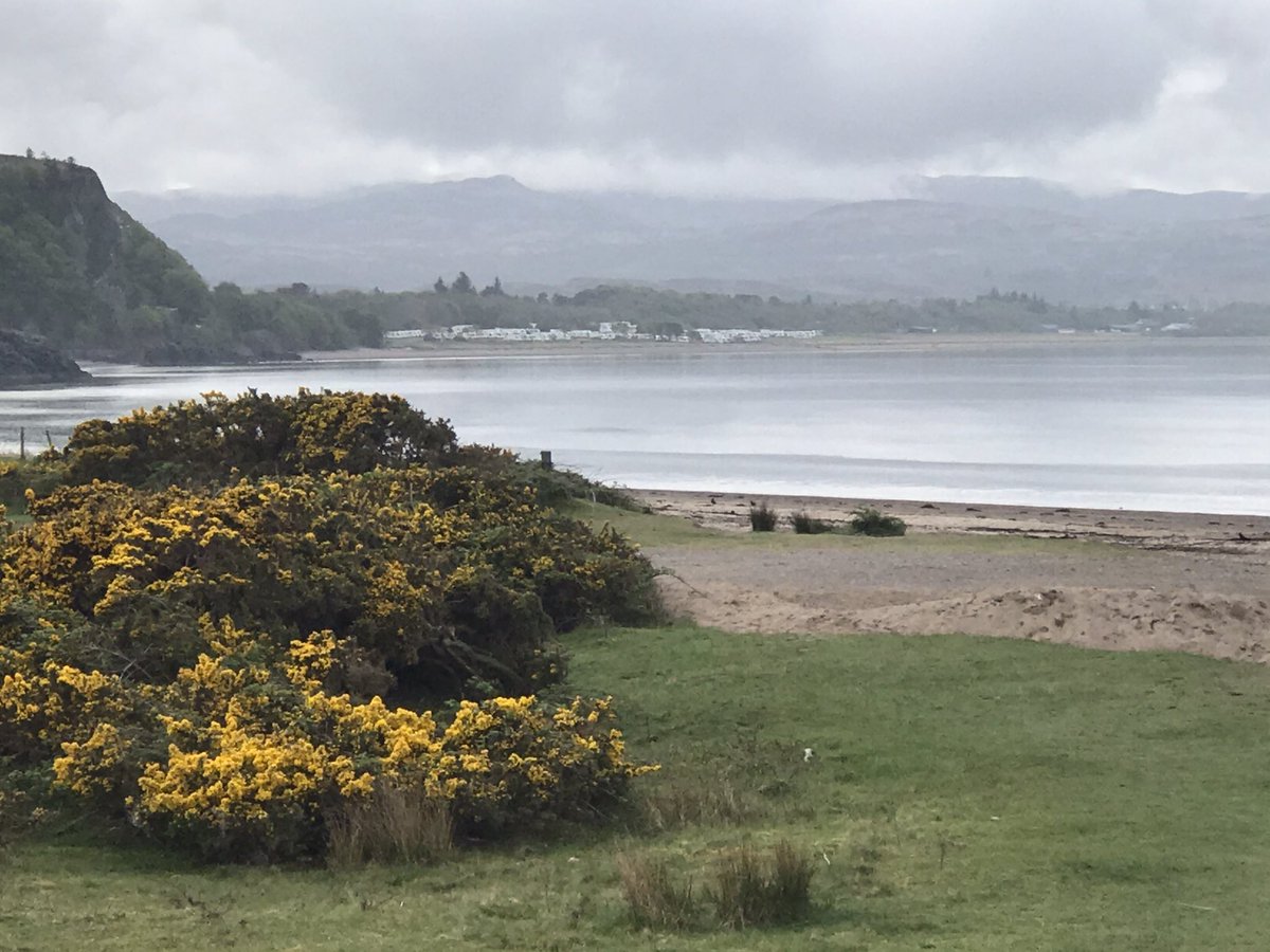 navynotnuclear's tweet photo. Fabulous beach #TraleeBay #Argyll #VisitArgyll 🏴󠁧󠁢󠁳󠁣󠁴󠁿 https://t.co/yxrI6wTEsb