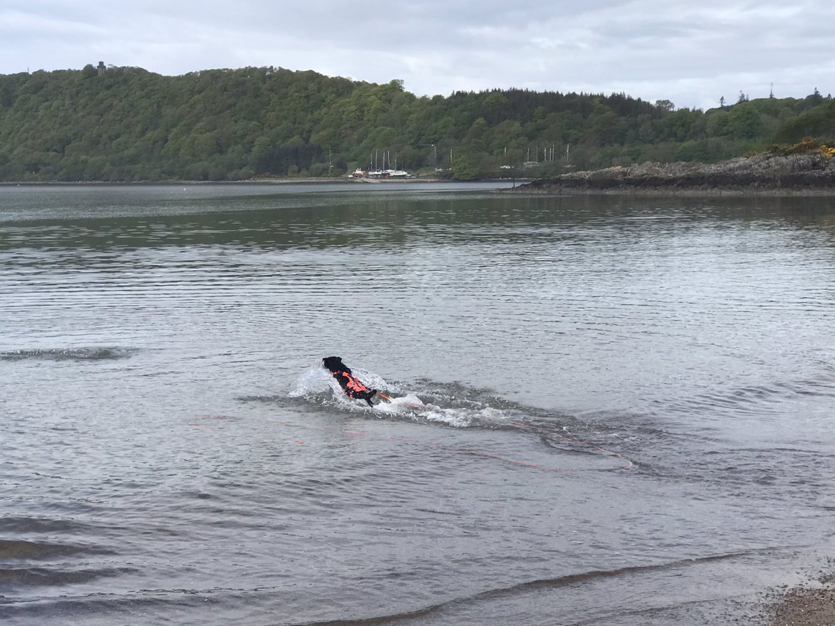 navynotnuclear's tweet photo. Fabulous beach #TraleeBay #Argyll #VisitArgyll 🏴󠁧󠁢󠁳󠁣󠁴󠁿 https://t.co/yxrI6wTEsb