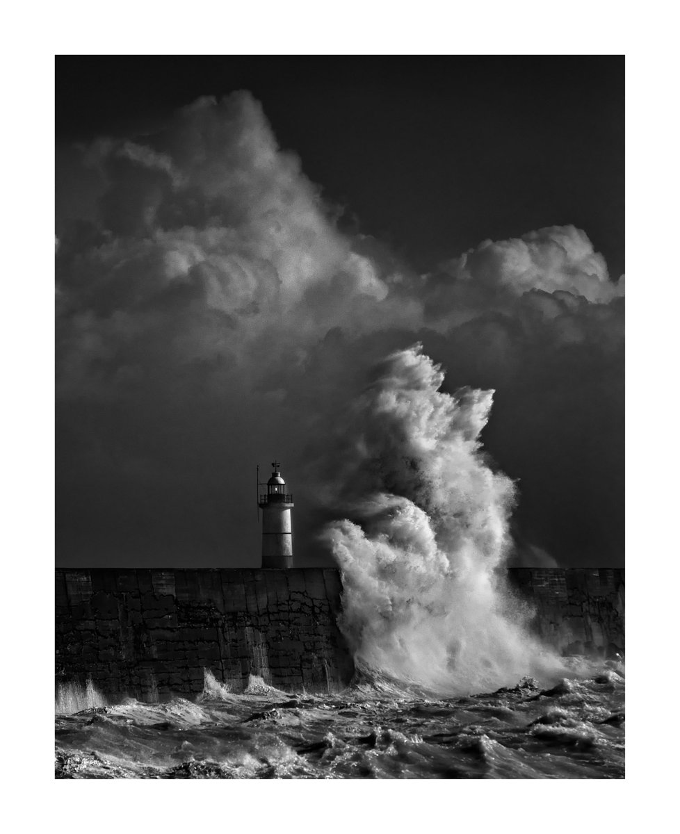 TonySellen tweet media