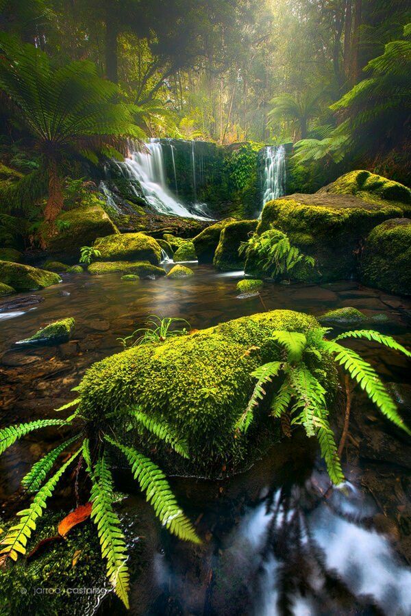 Soul_Art8's tweet photo. 🌿🌺💚 Happy weekend 💚🌺🌿
#NaturePhotography #naturelovers #NatureBeauty #HappySaturday https://t.co/Hlq6rBrdW9