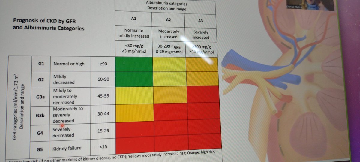 iprg_buzz's tweet image. Speaking now is @DeniseMafra3 from Brazil, discussing the use of propolis in the treatment of chronic kidney disease. #propolis #kidneydisease