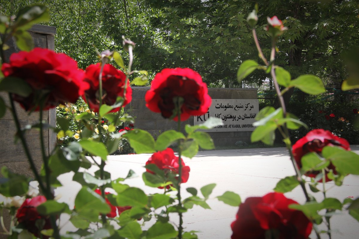acku2007's tweet photo. "You can cut all the flowers but you cannot keep spring from coming." Pablo Neruda
#ACKU #Spring #Campus #Flowers https://t.co/cfRCa8zMpz