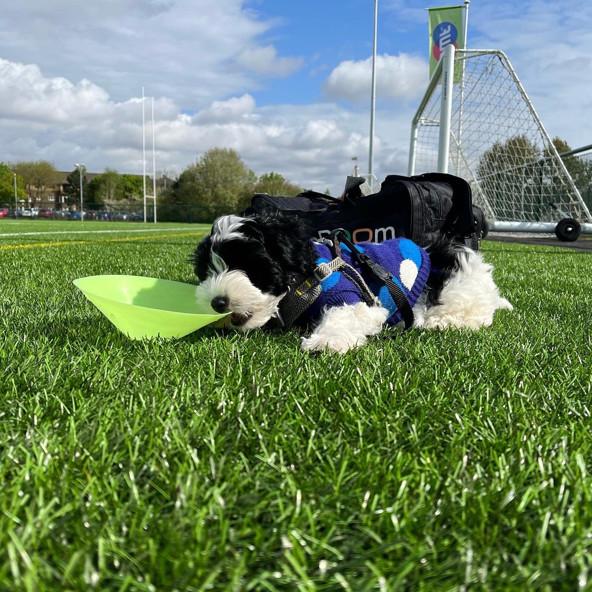 campbellk2810's tweet photo. Mummy’s little helper this morning at our under 14s match 🧡🖤🏆✨⚽️ @GlasgowCityFC https://t.co/cL1lUeJCu9