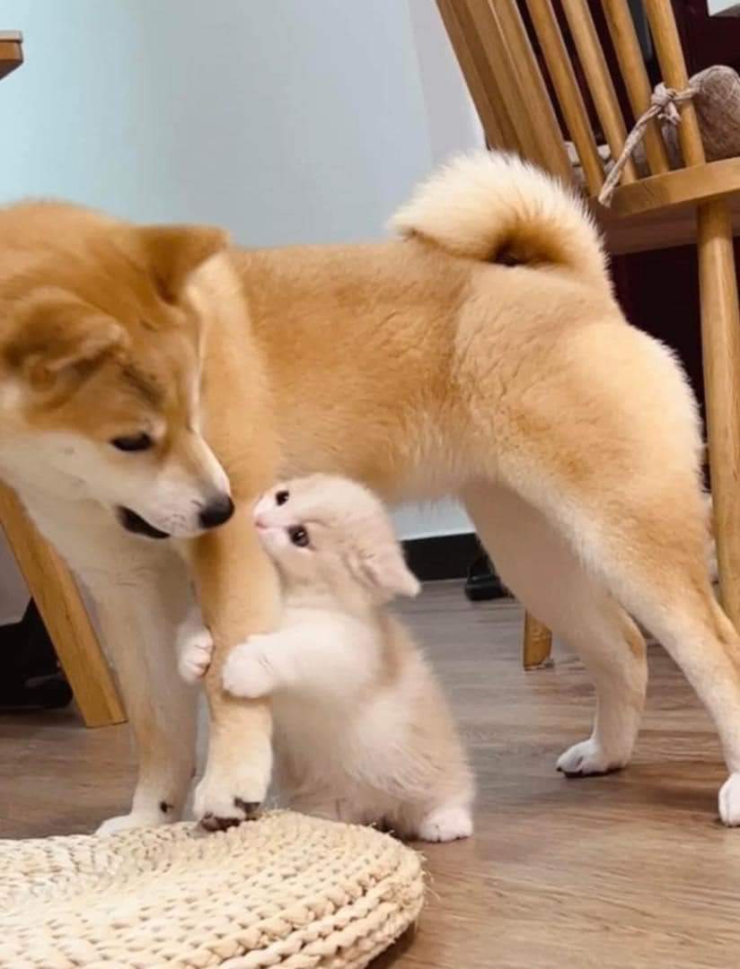 เรา :3 พี่เจ็ด