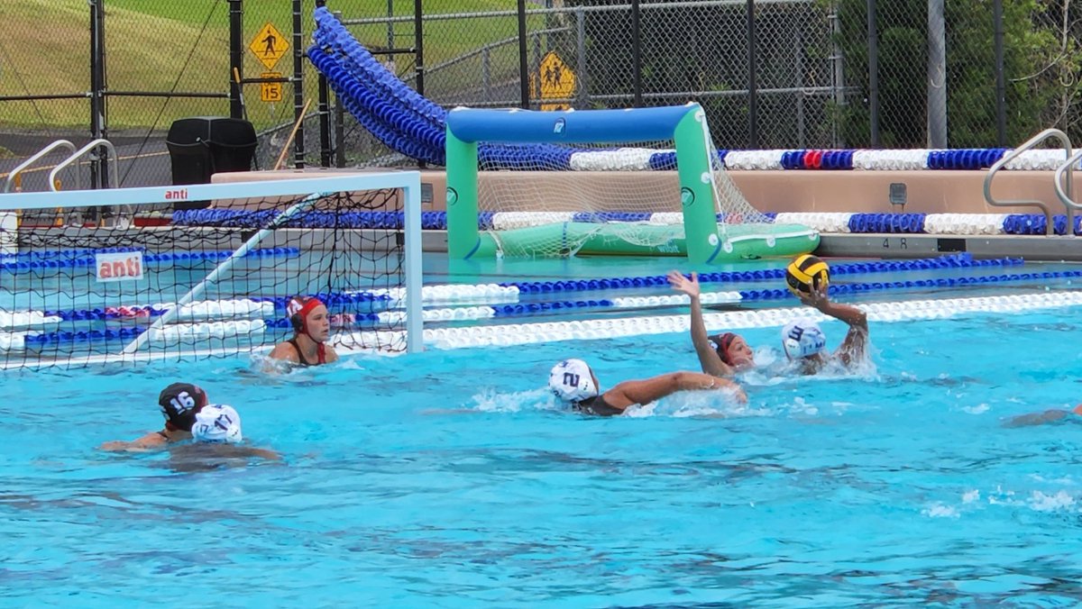 ZenyATC's tweet photo. @KSHAthletics Water Polo advances to Saturday play in the consolation bracket. They face Roosevelt at Kapālama at 3:15pm. #HHSAATournament @KSHawaii #imuakamehameha https://t.co/vVe6BfVjmu
