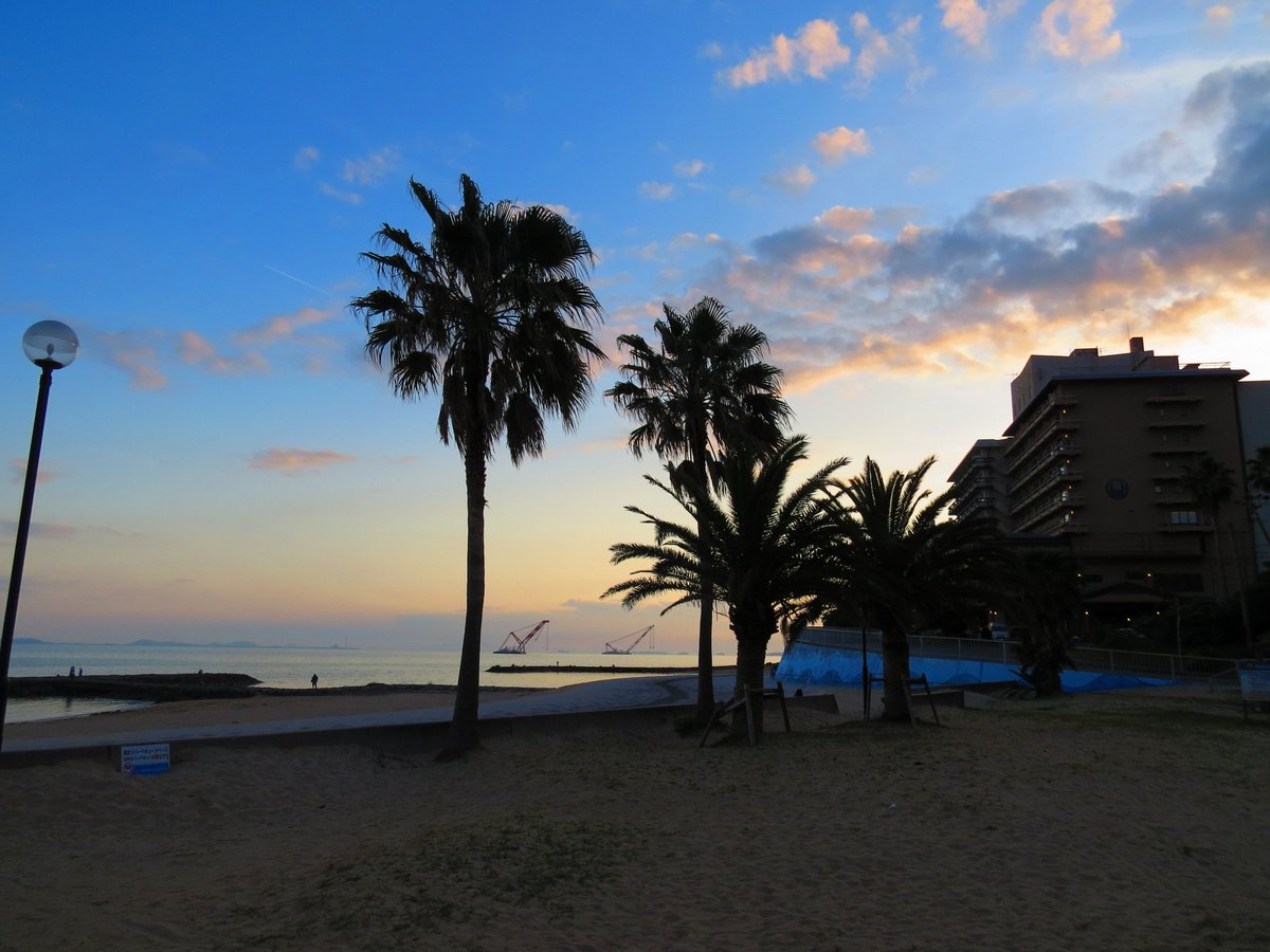 LR11200　🐰佐藤組🐰🐃🐼🐩🍄💘🌼🎀🦕♡ tweet media