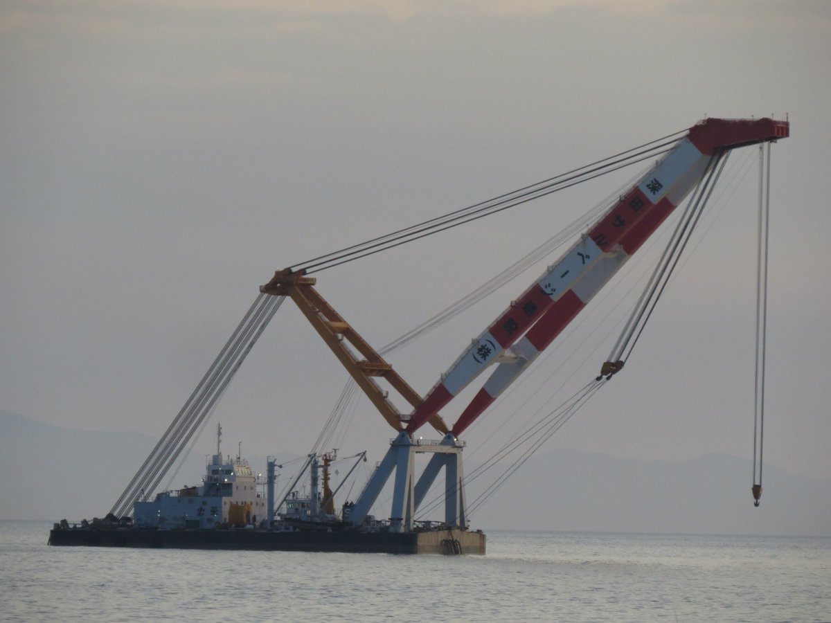 LR11200　🐰佐藤組🐰🐃🐼🐩🍄💘🌼🎀🦕♡ tweet media