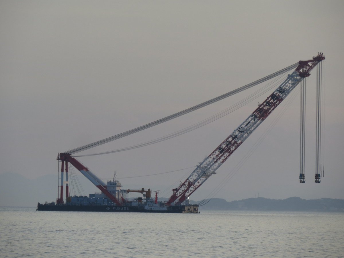 LR11200　🐰佐藤組🐰🐃🐼🐩🍄💘🌼🎀🦕♡ tweet media