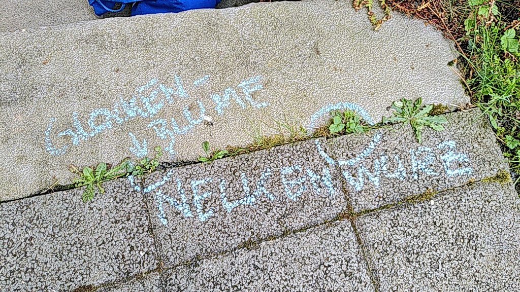 Jemand hat Kreide im Hof liegenlassen! 😀😊🤗
#Krautschau #morethanweeds
🌱🥀🌿☘️🌼🌻