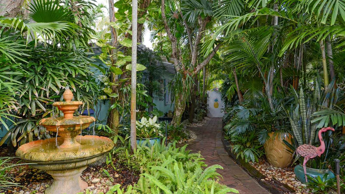 pineapple_point's tweet photo. The worst part of the stay was having to check out. (I was contemplating hiding in the foliage 😂) All of the staff are kind, courteous and really go the extra mile...https://t.co/XYX0hPeCwL  #gaytravel #gaylife https://t.co/GwxK2b3Mtg