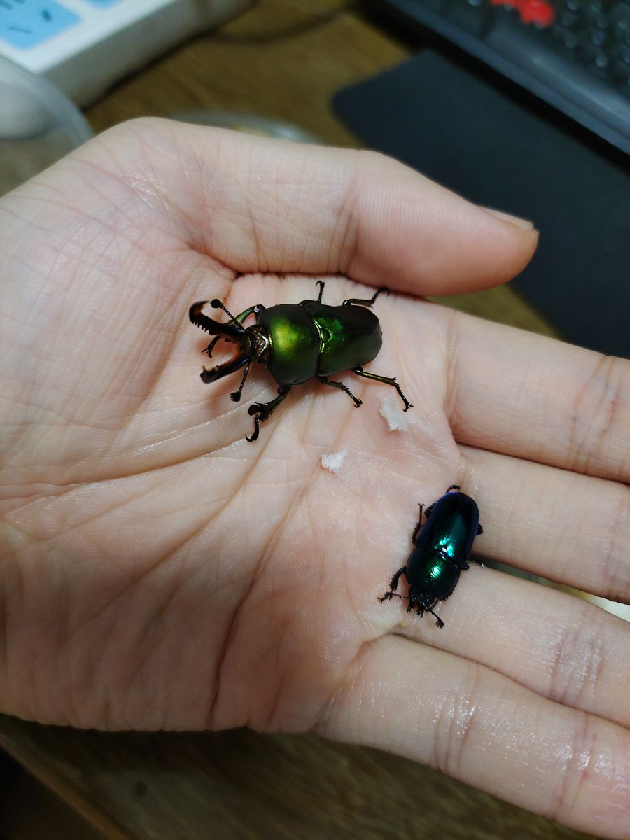 Gggggg (@glgo84) on Twitter photo 